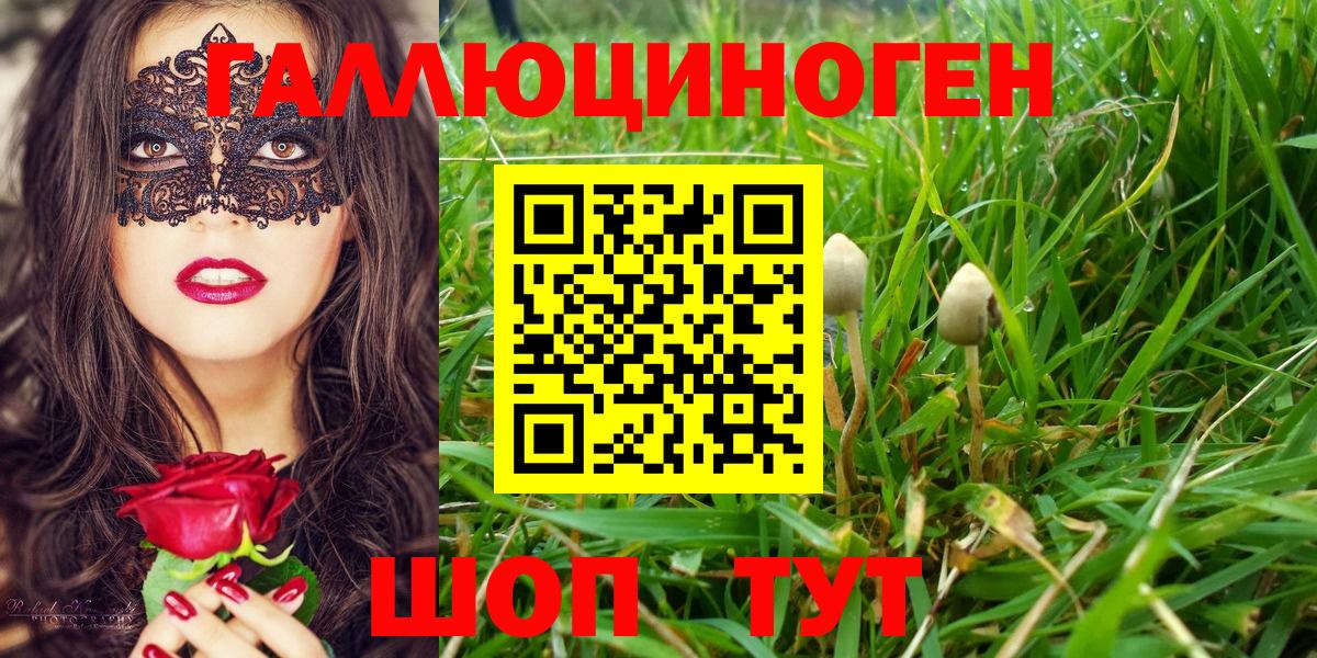 Галлюциногенные грибы мицелий Нижнеудинск