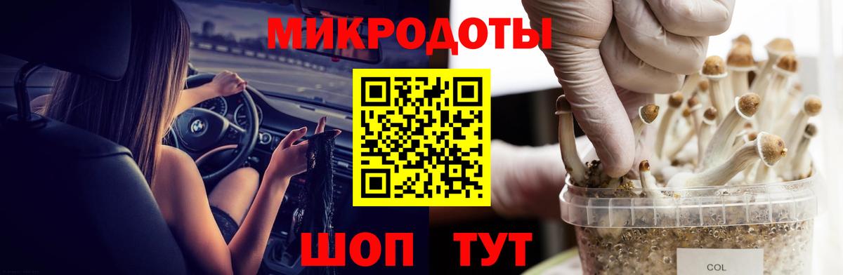 Псилоцибиновые грибы MAGIC MUSHROOMS  Псилоцибиновые грибы мухоморы  Нижнеудинск  Вход с VPN 